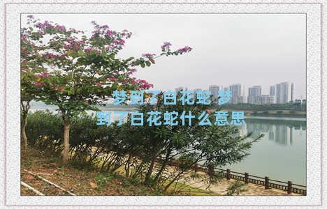 梦到了白花蛇 梦到了白花蛇什么意思